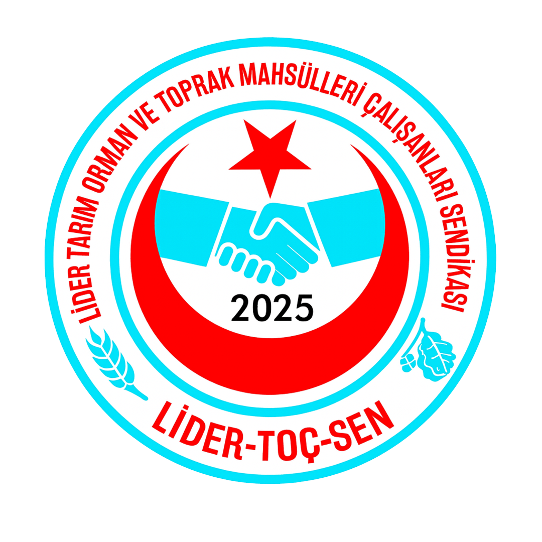 LİDER TOÇ-SEN